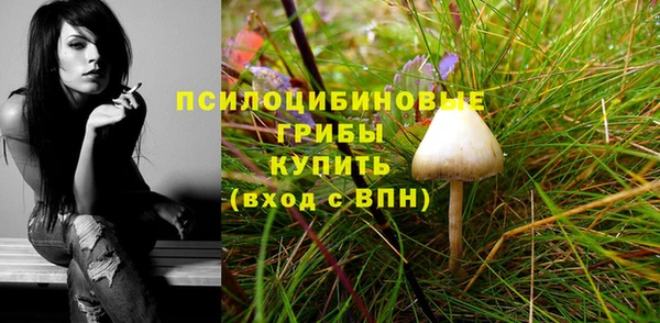 метадон Саяногорск