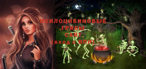 прущая мука Арсеньев